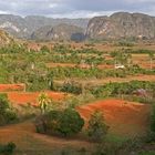 Cuba: Valle de Vinales (4)