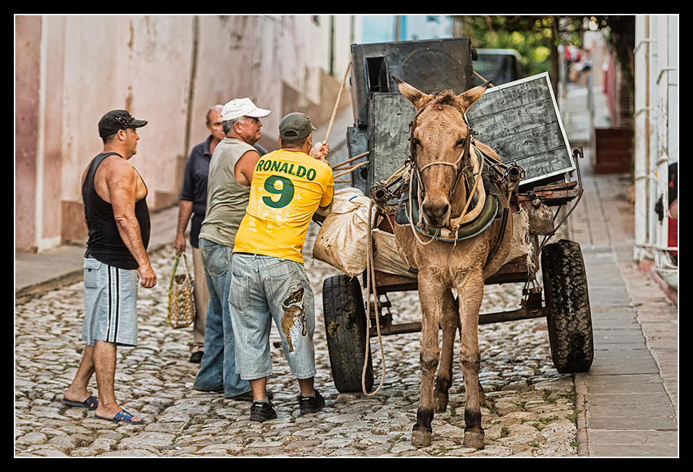 Cuba VII - Ronaldo & der Esel