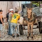 Cuba VII - Ronaldo & der Esel