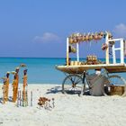 Cuban Beach Vendor