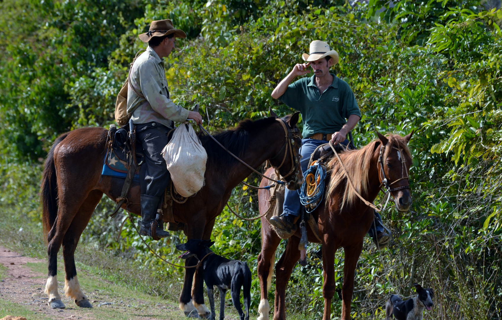 Cuban Cowboys