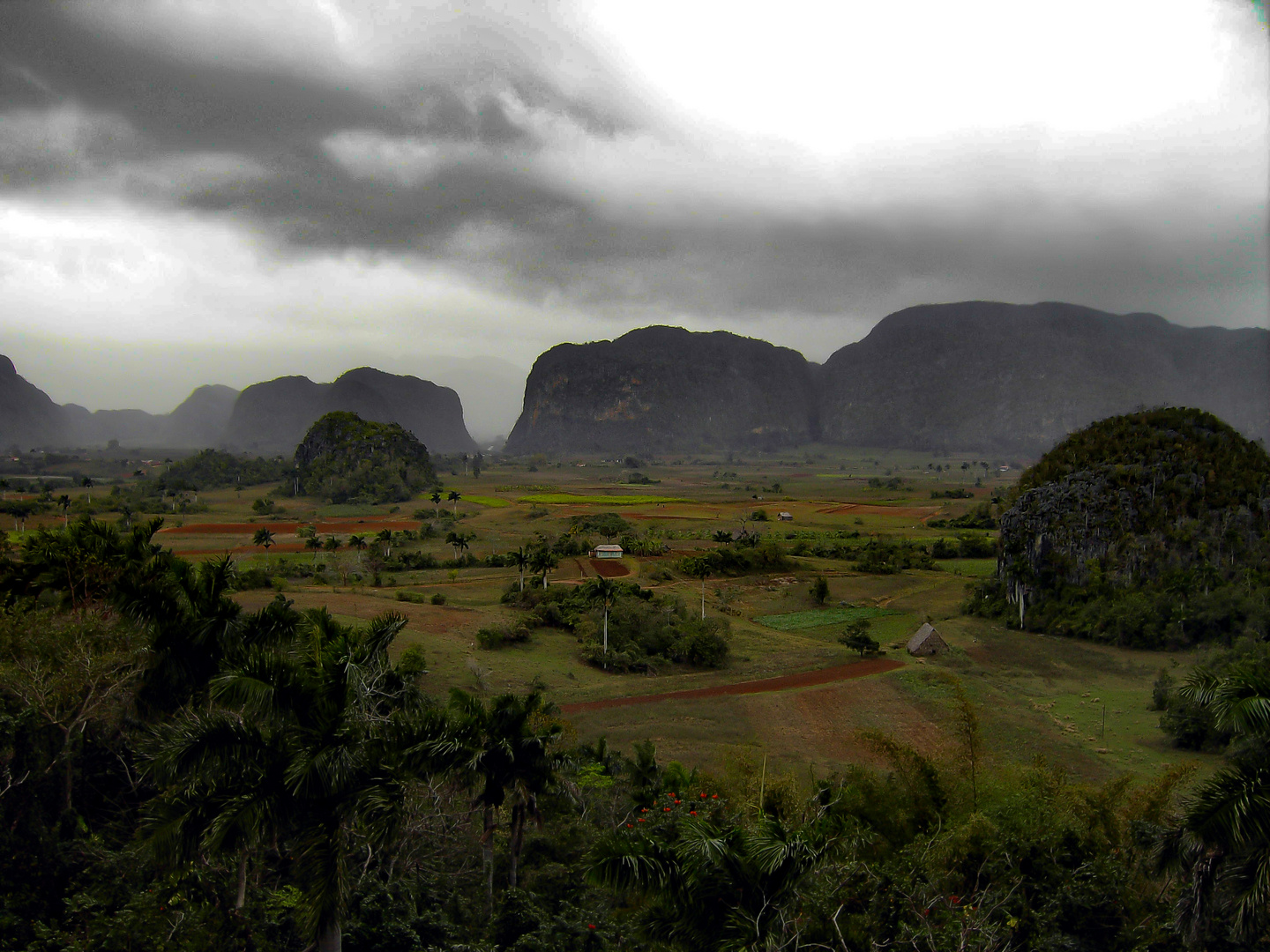 Cuban Landscape - little farm