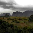 Cuban Landscape - little farm