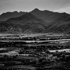 Cuban landscape „Valle de los ingenious“ in monochrome 