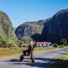 Cuban traffic