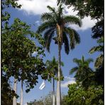 Cubanische Symbole / La Bandera, Jose Martí y Palma Reál