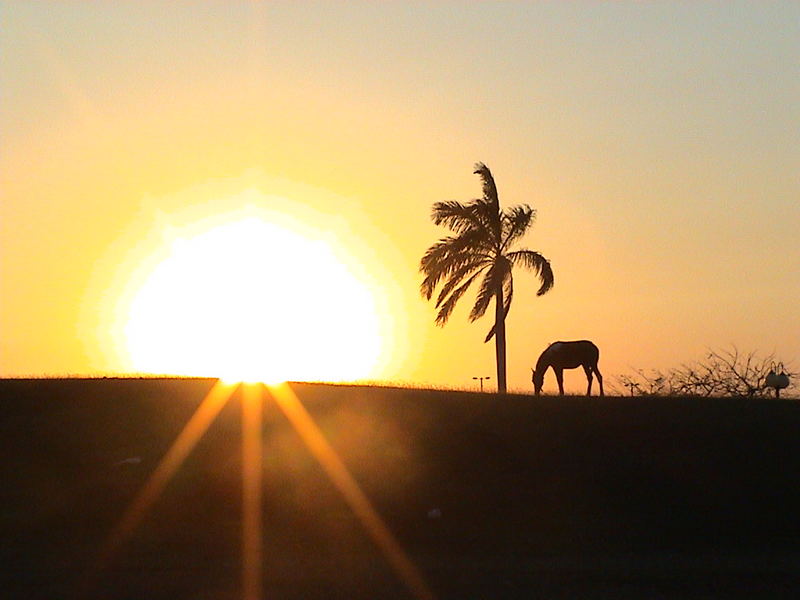 Cubanischer Sonnenuntergang