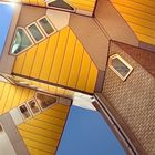 Cubic Houses VI