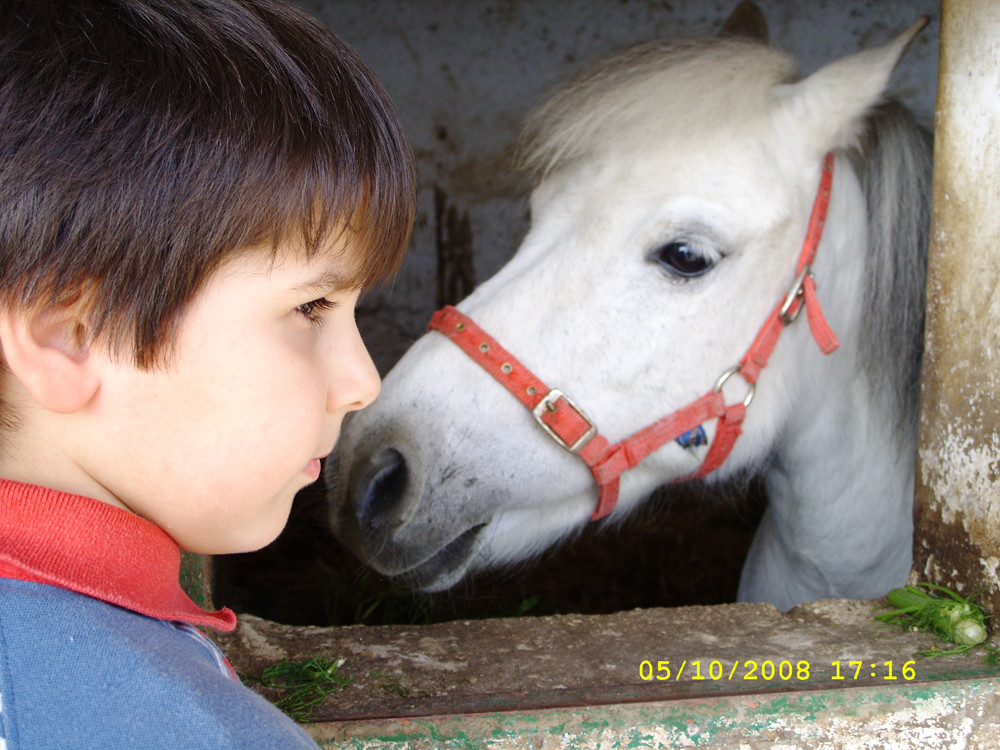 Cuccioli a confronto...