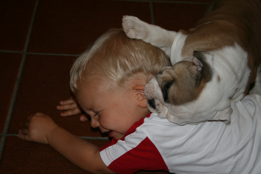 Cuccioli: adesso siamo pari...