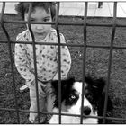 Cuccioli in gabbia