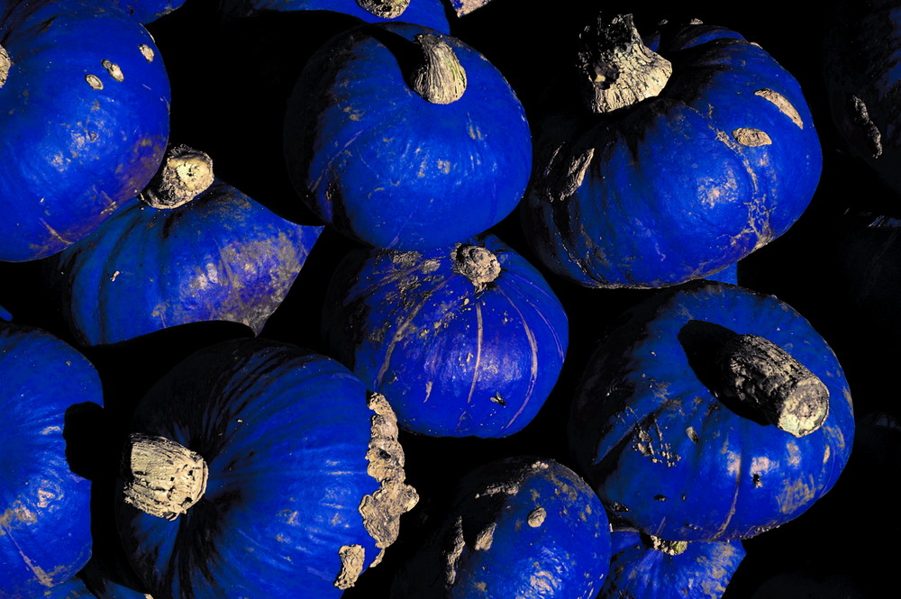 Cucurbita Cucurbita Caerulea Photoshoppa