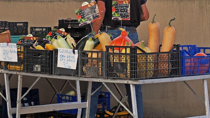 Cucurbitacées au marché de Condom