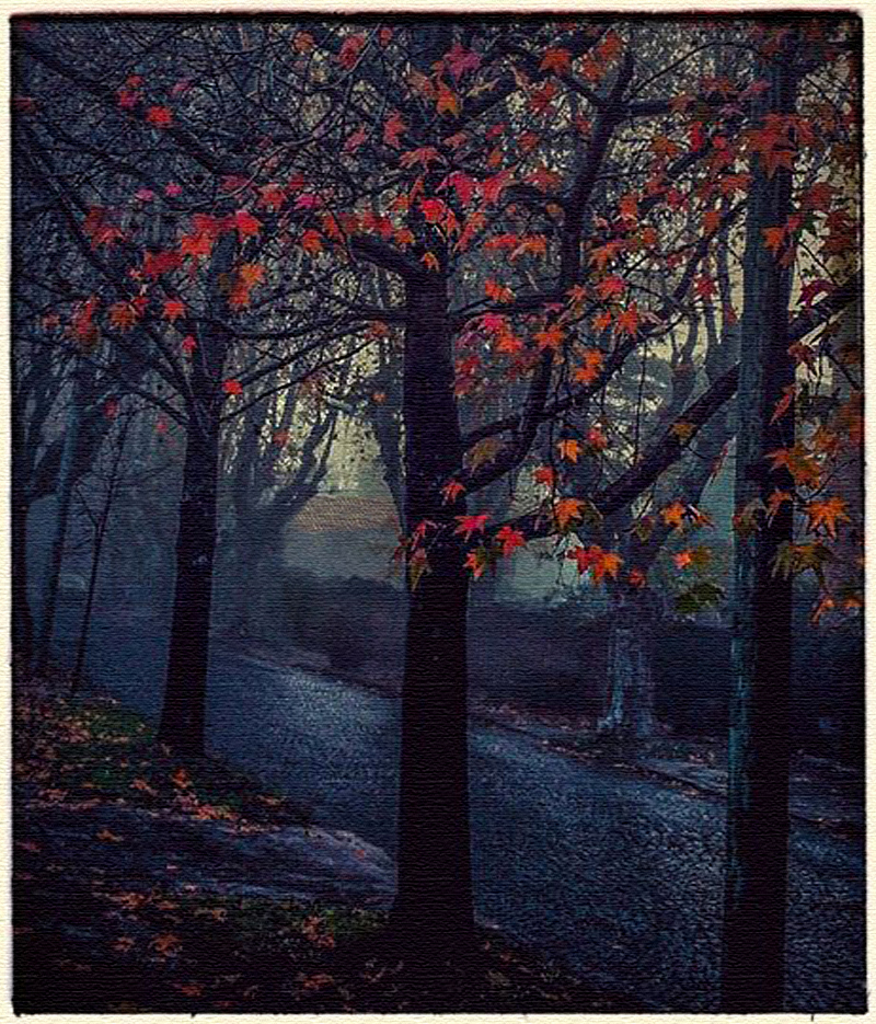 cuentos sobre calles y bosques