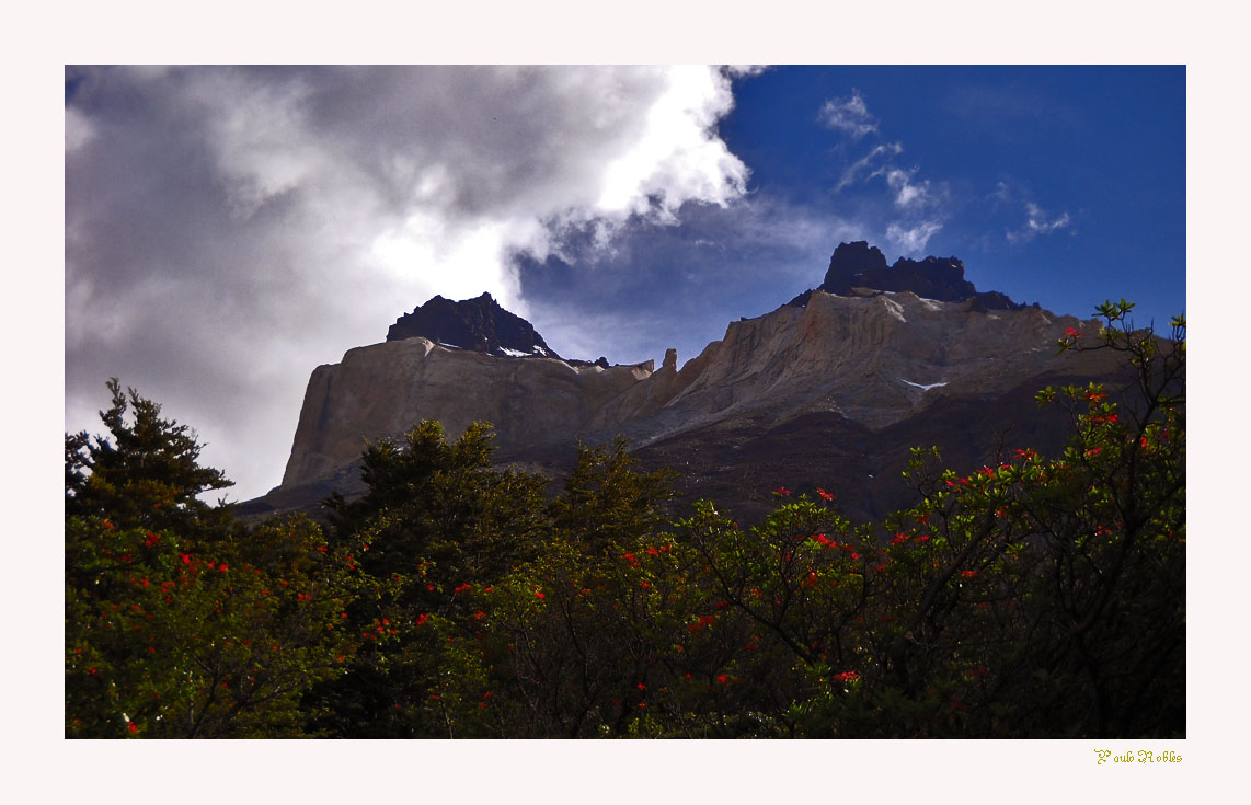 Cuernos del paine.