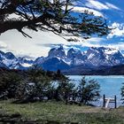 - cuernos del paine -