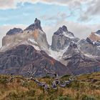 Cuernos del Paine