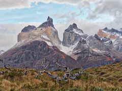 Cuernos del Paine