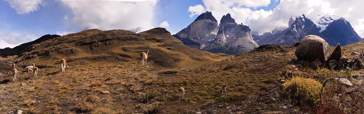 Cuernos del Paine Panorama