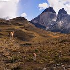 Cuernos del Paine Panorama