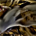 Cueva Boquerones - CUBA