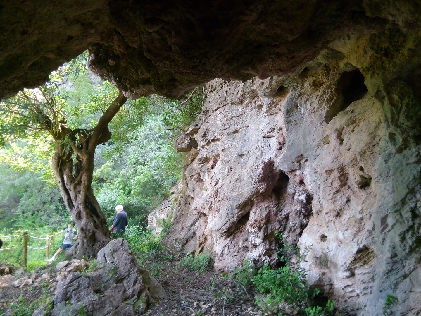 Cueva de comunidad valenciana 