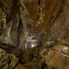 Cueva de los Tocinos, Ampuero