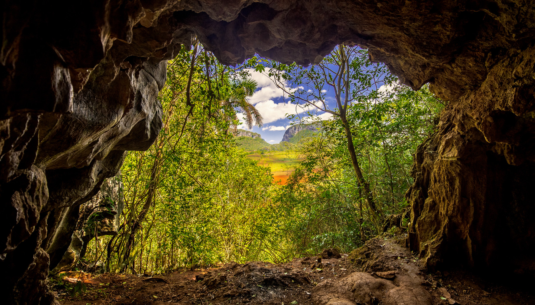  Cueva de Viñales (HDR)