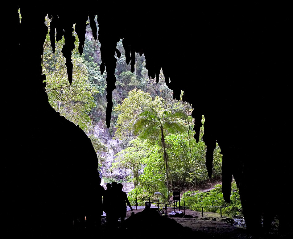 Cueva del Guácharo