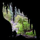 Cueva del Guácharo