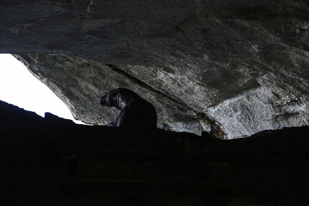 Cueva del Milodon  DSC_6215-2