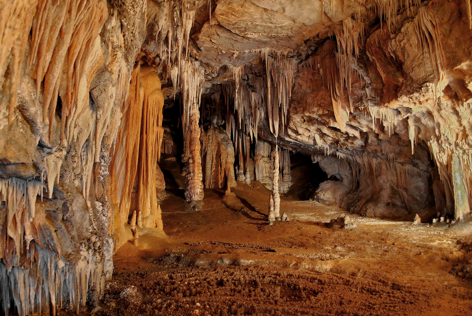 Cueva Incognita