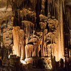 Cuevas Drach - Drachenhöhlen bei Porto Christo #1