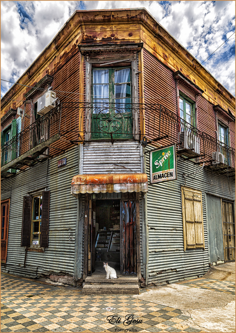 Cuidados con el perro y gato