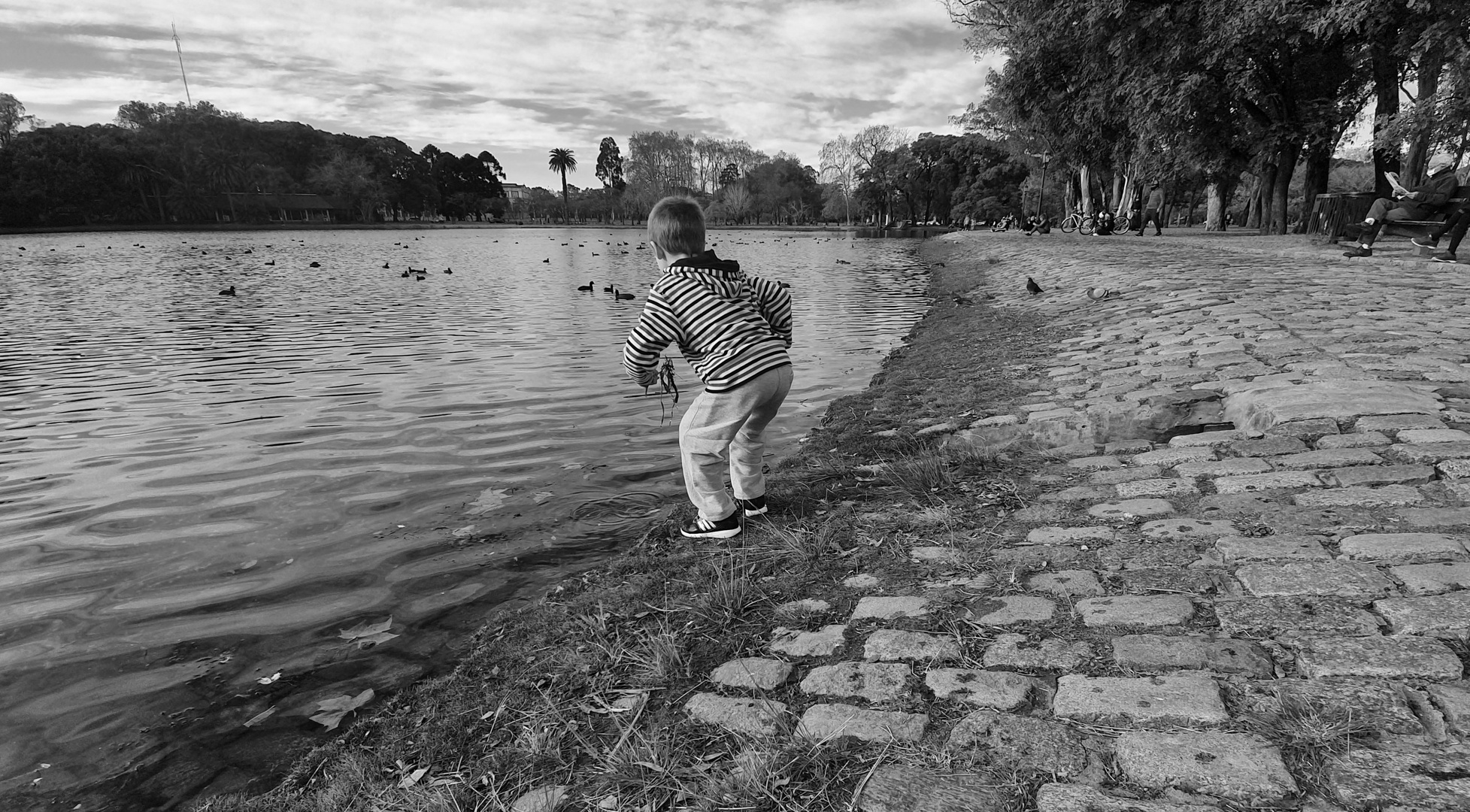 ...CUIDANDO LA NATURALEZA ..