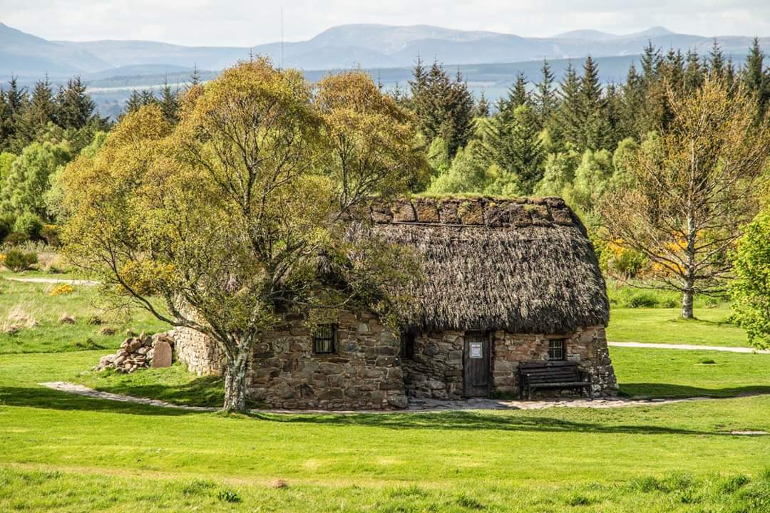 Culloden 