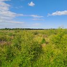 Culloden Battlefield - Scotland