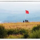 Culloden