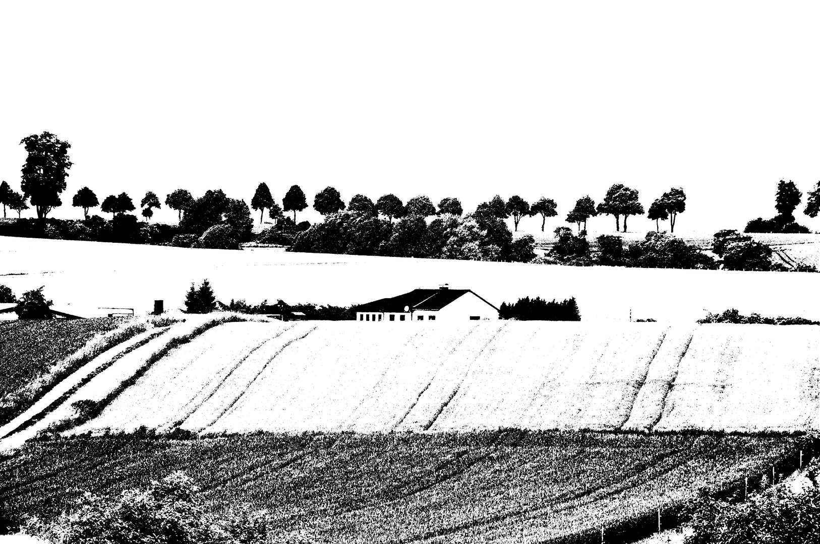 cultivated land (iii)