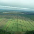 Cultivos de Caña de Azúcar - Tebicuary - Guaira - Paraguay