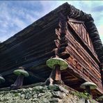 CULTURA WALSER IN VAL D'OSSOLA