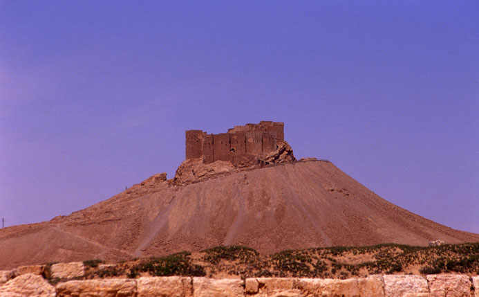 Cultural Palmyra-Syria 4