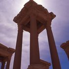 Cultural Palmyra-Syria 6