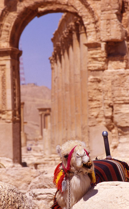 Cultural Palmyra-Syria 9