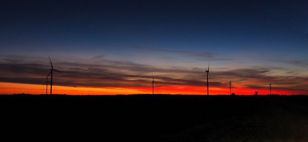 Culture d‘éoliennes