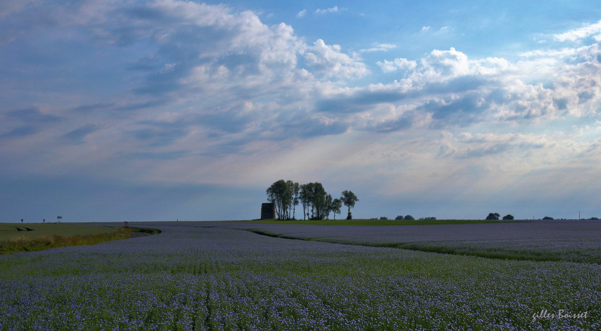 culture du lin en Normandie