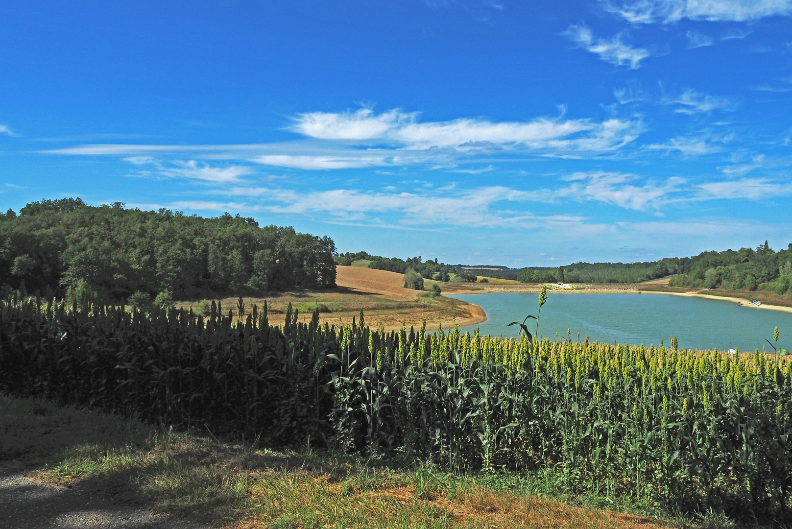 Culture du sorgho près du Lac de Bousquetara