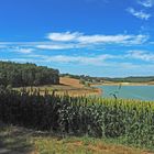 Culture du sorgho près du Lac de Bousquetara