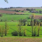 Cultures au printemps en Gascogne