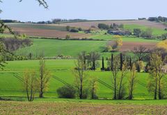 Cultures au printemps en Gascogne